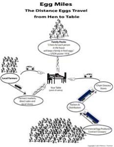 Know Your Egg Shed, Part III: Egg Miles Image